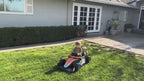 Enfants au volant des F1 électriques Mercedes-AMG et McLaren